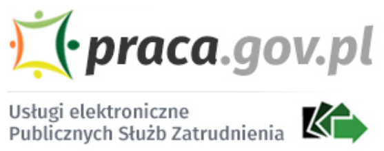 nnk.article.image-alt PIT-11 za rok 2024 na platformie PRACA.GOV.PL